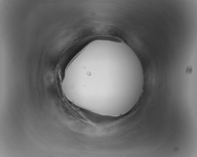 X0000113150033200909251338