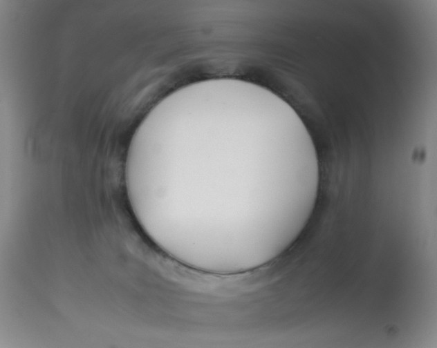 X0000113150035200909251338