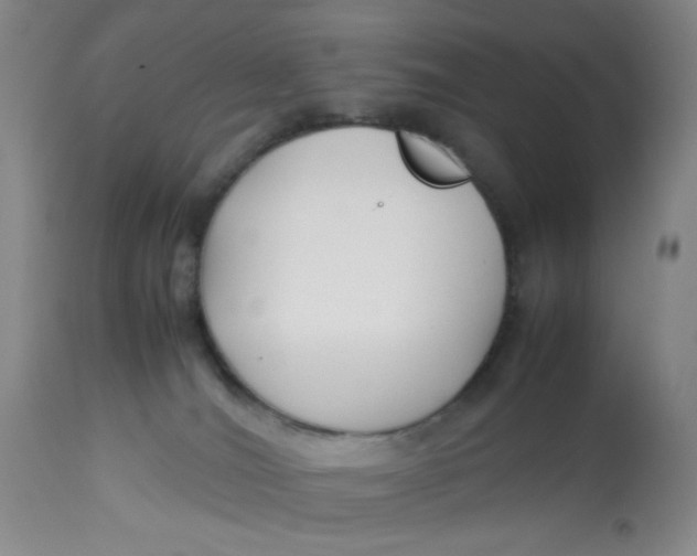 X0000113150036200909251338