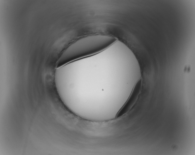 X0000113150037200909251338