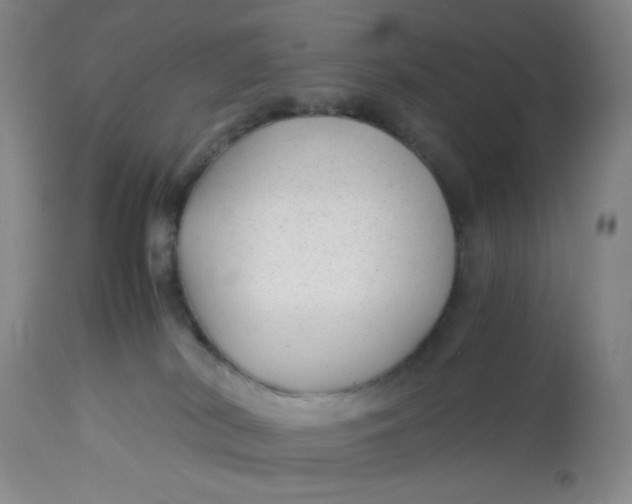 X0000113150038200909251338