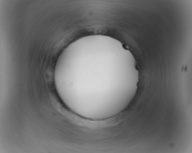 X0000113150039200909251338