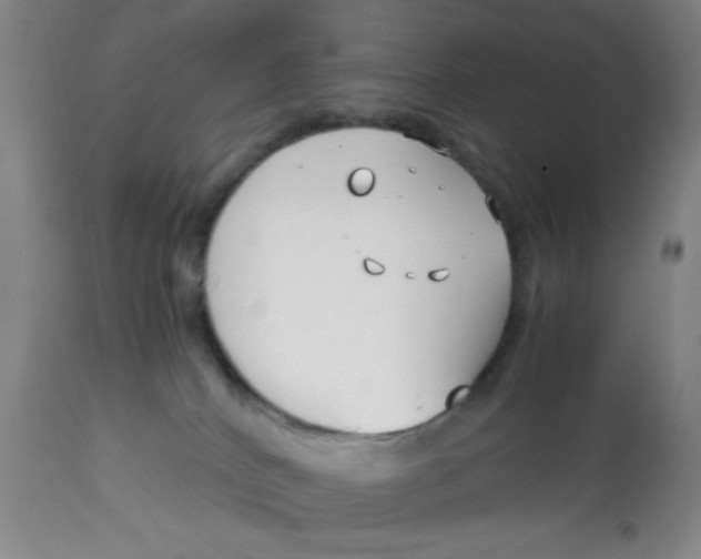 X0000113150040200909251338