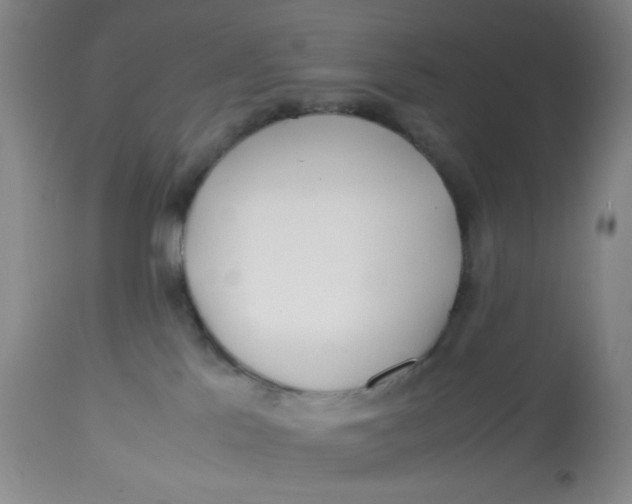 X0000113150041200909251338