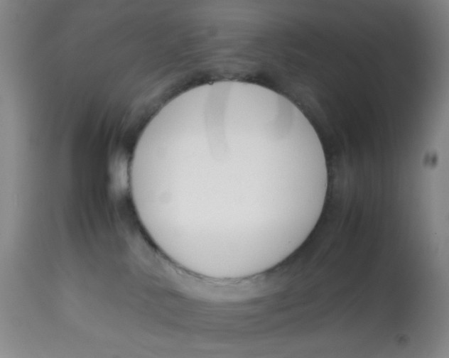 X0000113150042200909251338