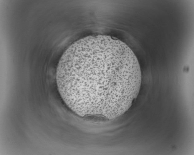 X0000113150043200909251338