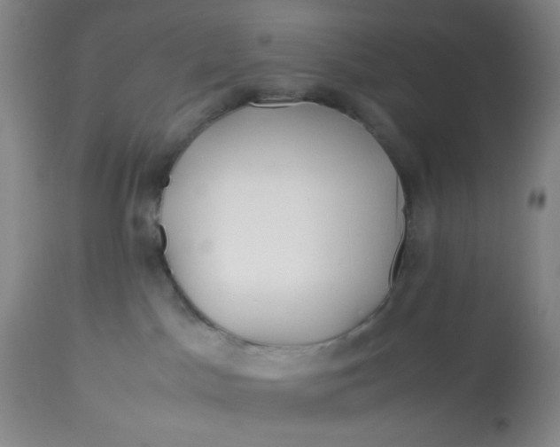 X0000113150045200909251338