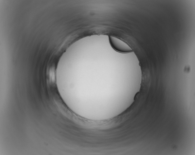 X0000113150046200909251338