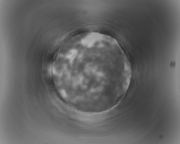 X0000113150047200909251338