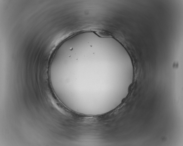 X0000113150050200909251337