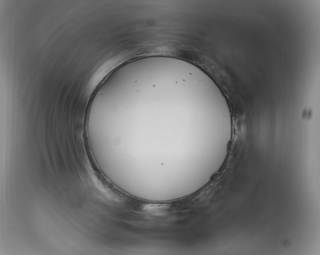 X0000113150051200909251337