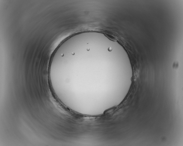 X0000113150052200909251337