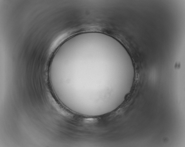 X0000113150053200909251337