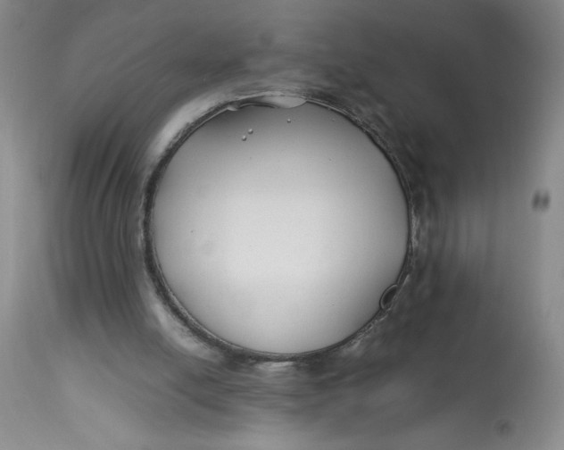 X0000113150054200909251337