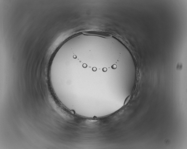 X0000113150055200909251338