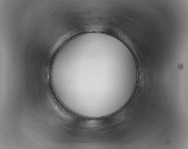 X0000113150059200909251338