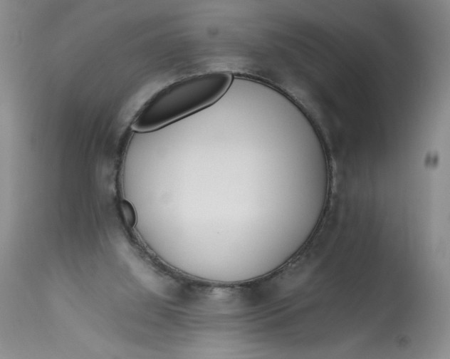 X0000113150060200909251338