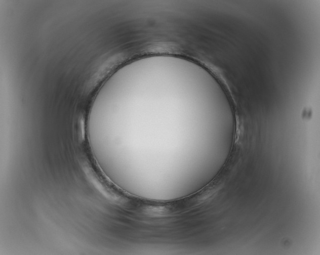 X0000113150061200909251338