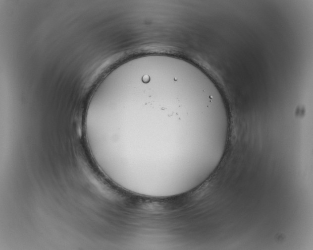 X0000113150062200909251338