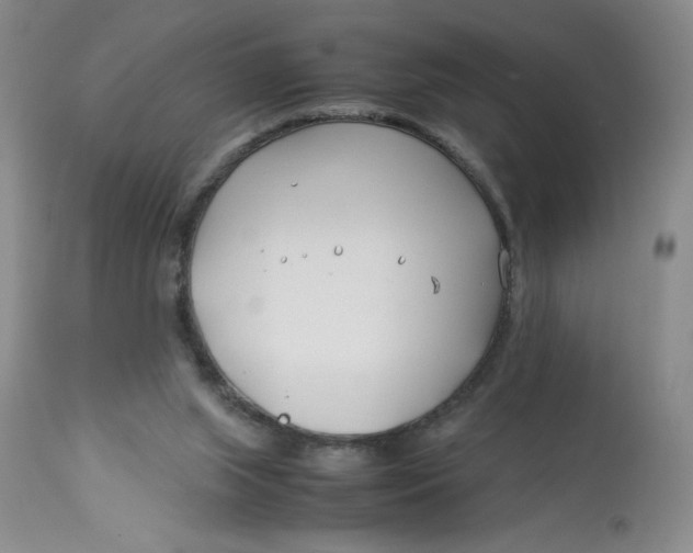 X0000113150063200909251338