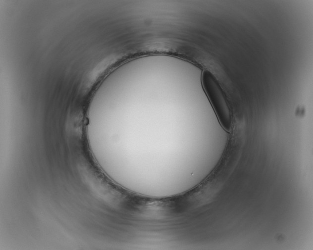 X0000113150064200909251338