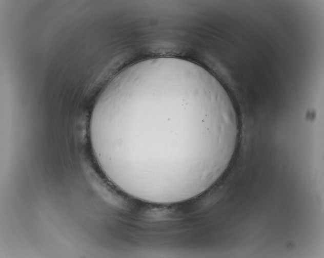 X0000113150065200909251338