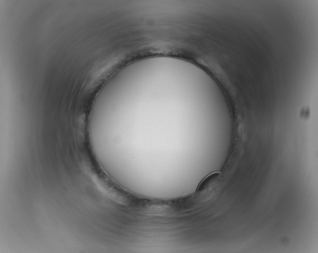 X0000113150066200909251338