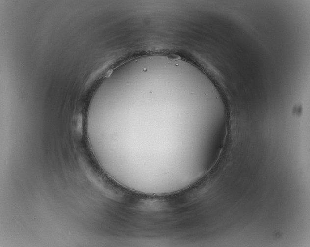 X0000113150067200909251338