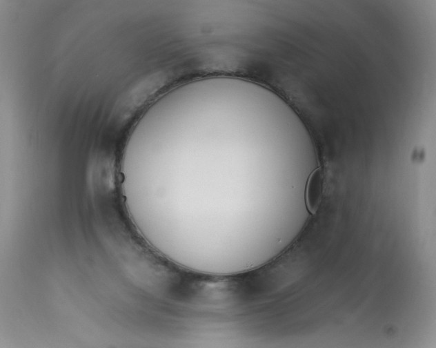 X0000113150068200909251338