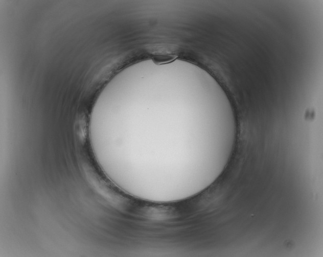 X0000113150069200909251338