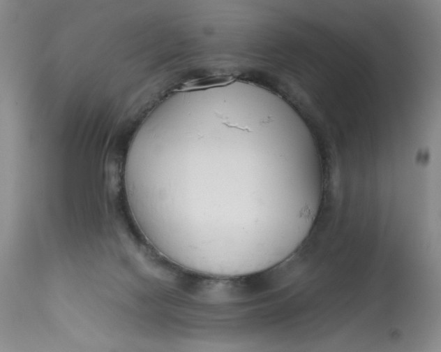 X0000113150074200909251338