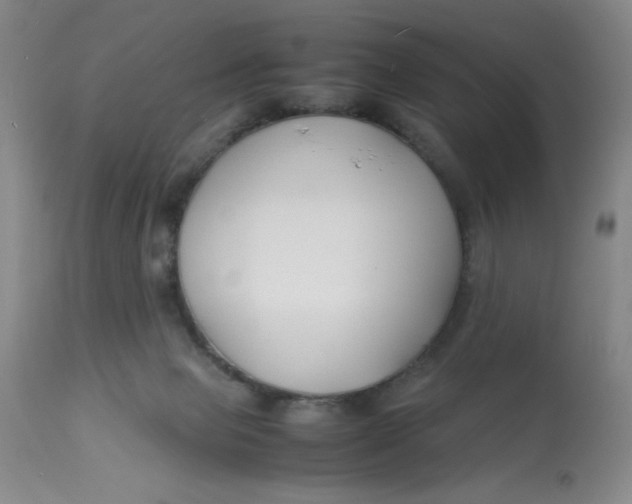 X0000113150077200909251338