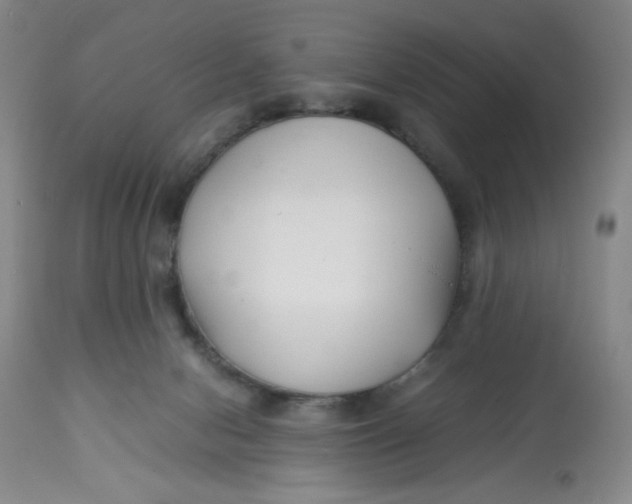 X0000113150078200909251338