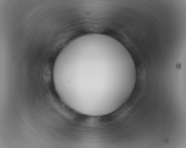 X0000113150080200909251338