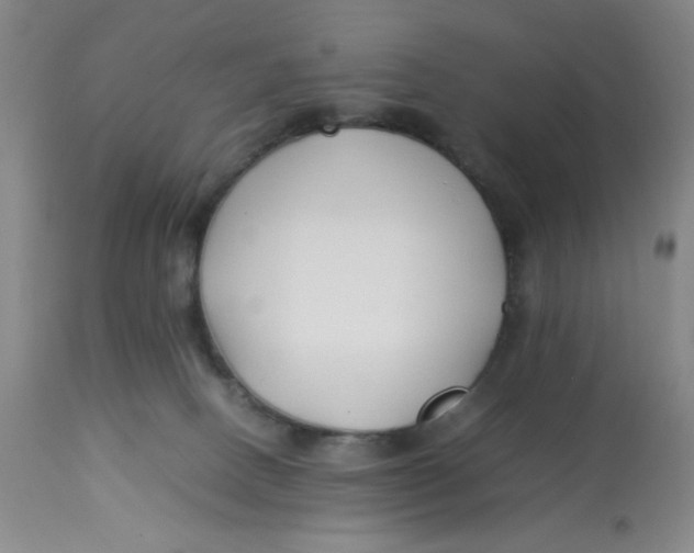 X0000113150082200909251338