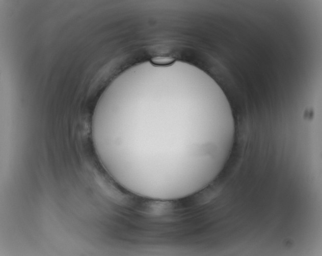 X0000113150085200909251338