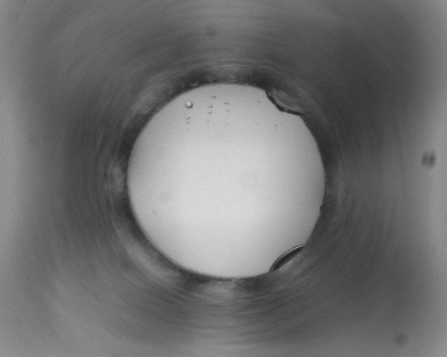 X0000113150086200909251338