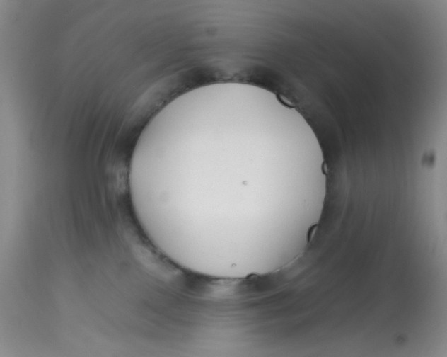 X0000113150090200909251338