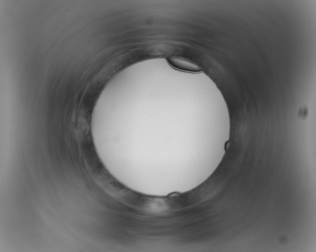 X0000113150091200909251338