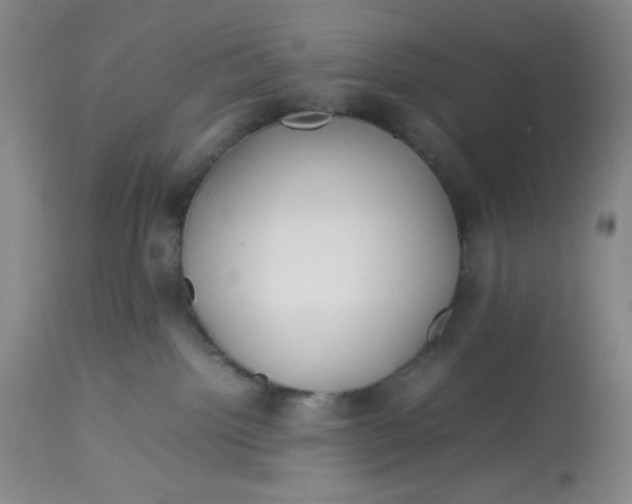 X0000113150092200909251338