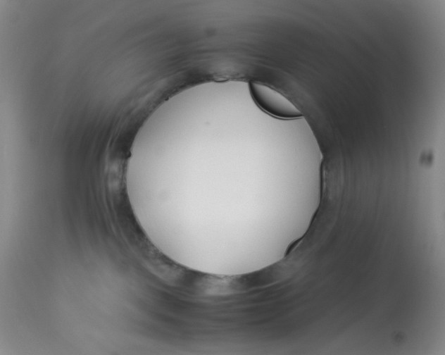 X0000113150093200909251338