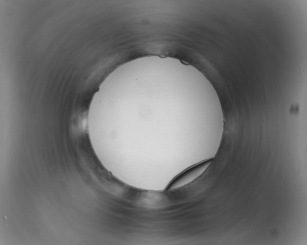 X0000113150095200909251338