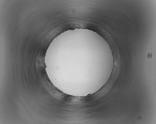 X0000113150096200909251338