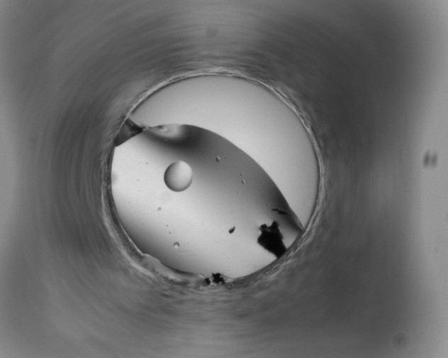 X0000113150097200909251337