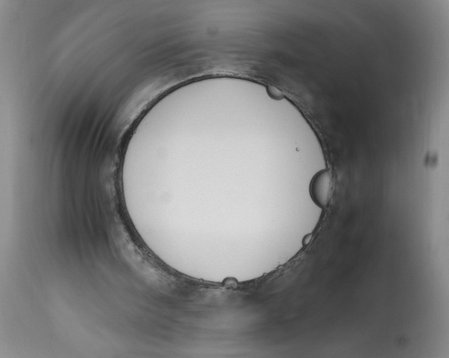 X0000113150098200909251337