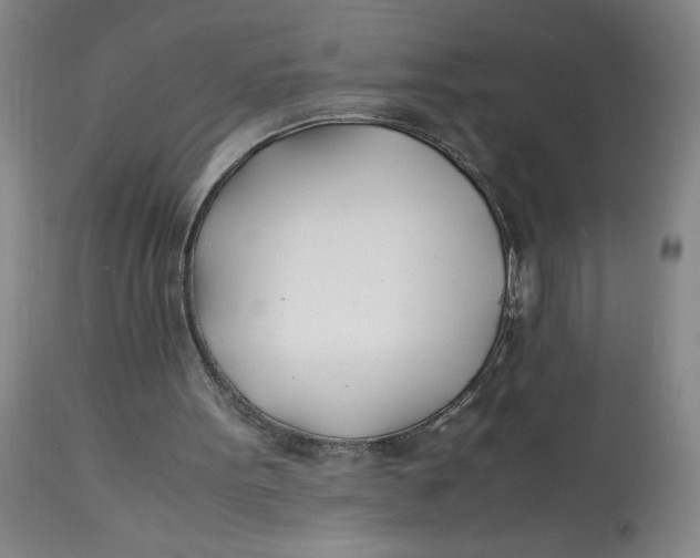 X0000113150099200909251337