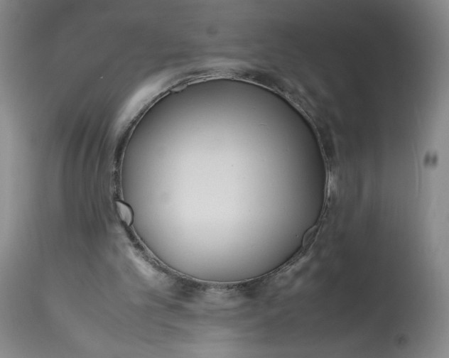 X0000113150101200909251337