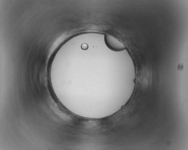 X0000113150102200909251337