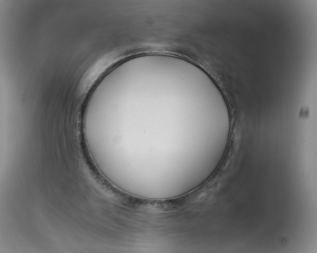 X0000113150103200909251337