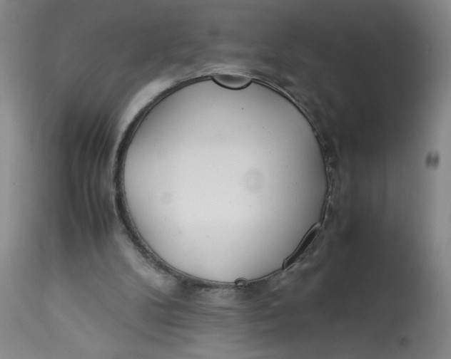 X0000113150104200909251337